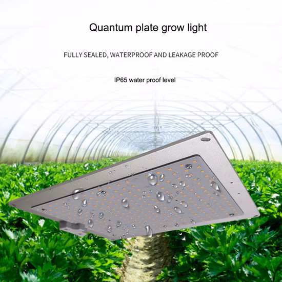 Lampada LED a spettro completo ad alta baia da 100 W a coltivazione lineare economica per piante da interno